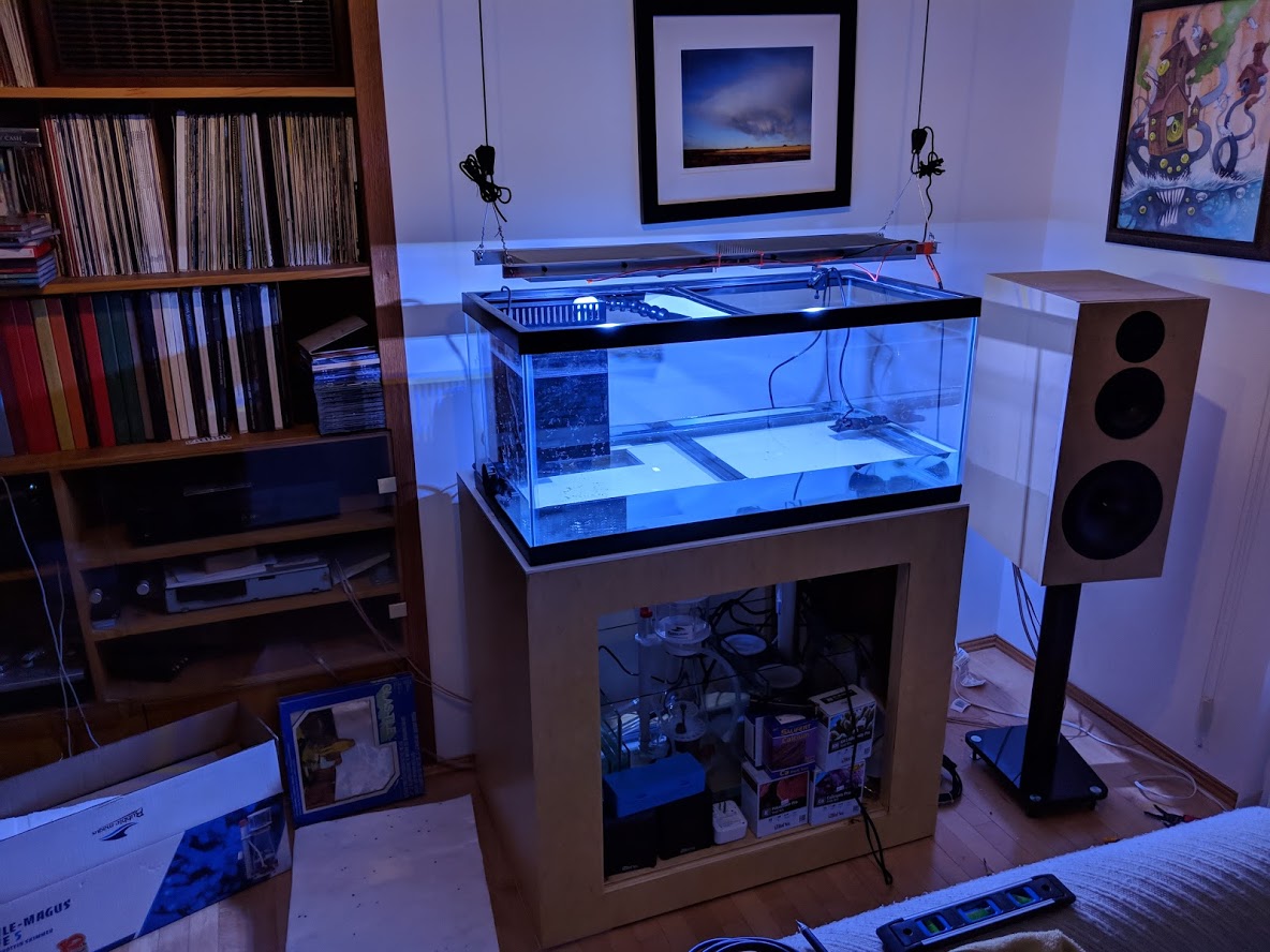 Photograph of aluminum light fixture over aquarium with whiteish blue light