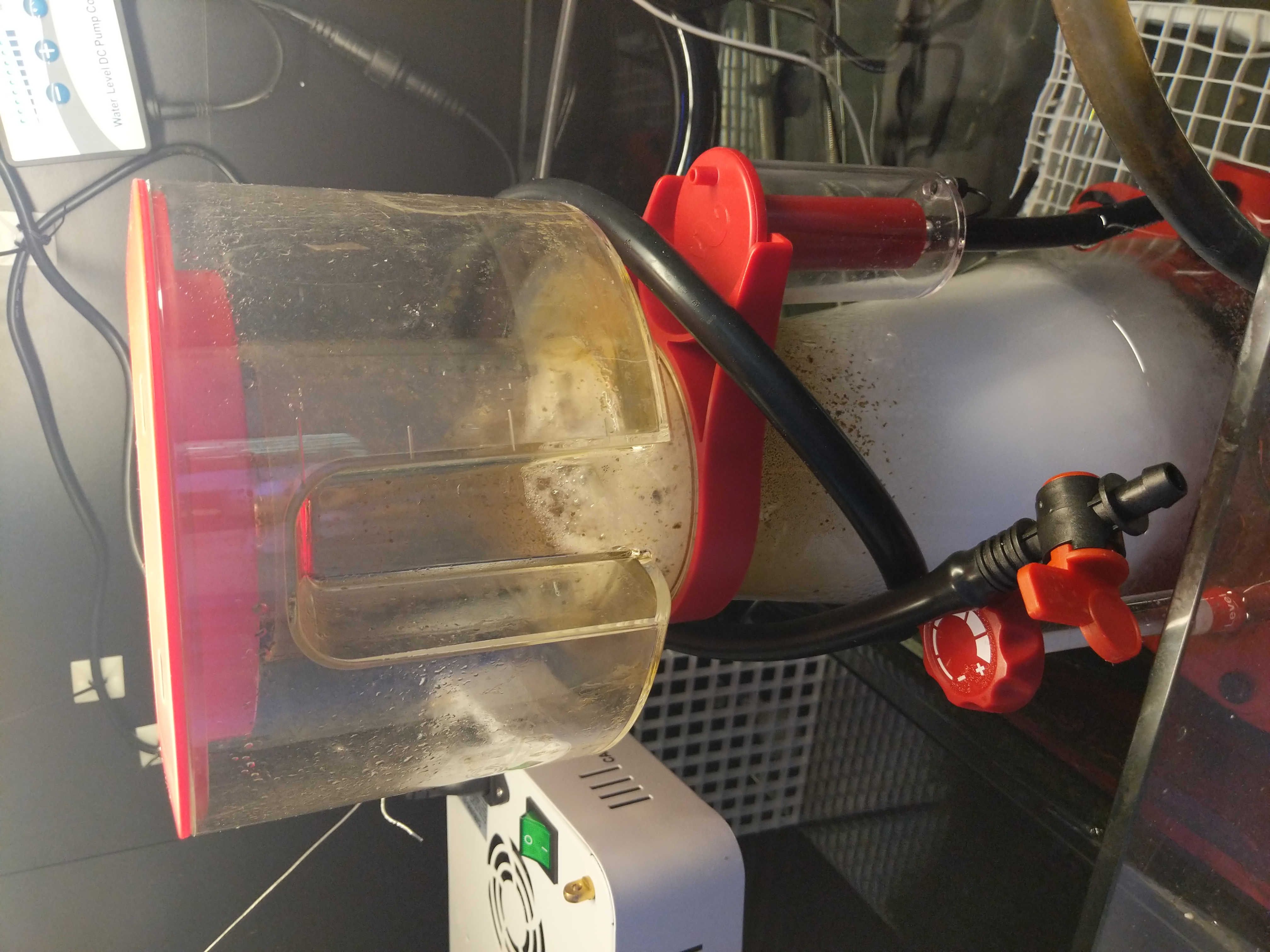 Red Sea 300 protein skimmer installed in sump