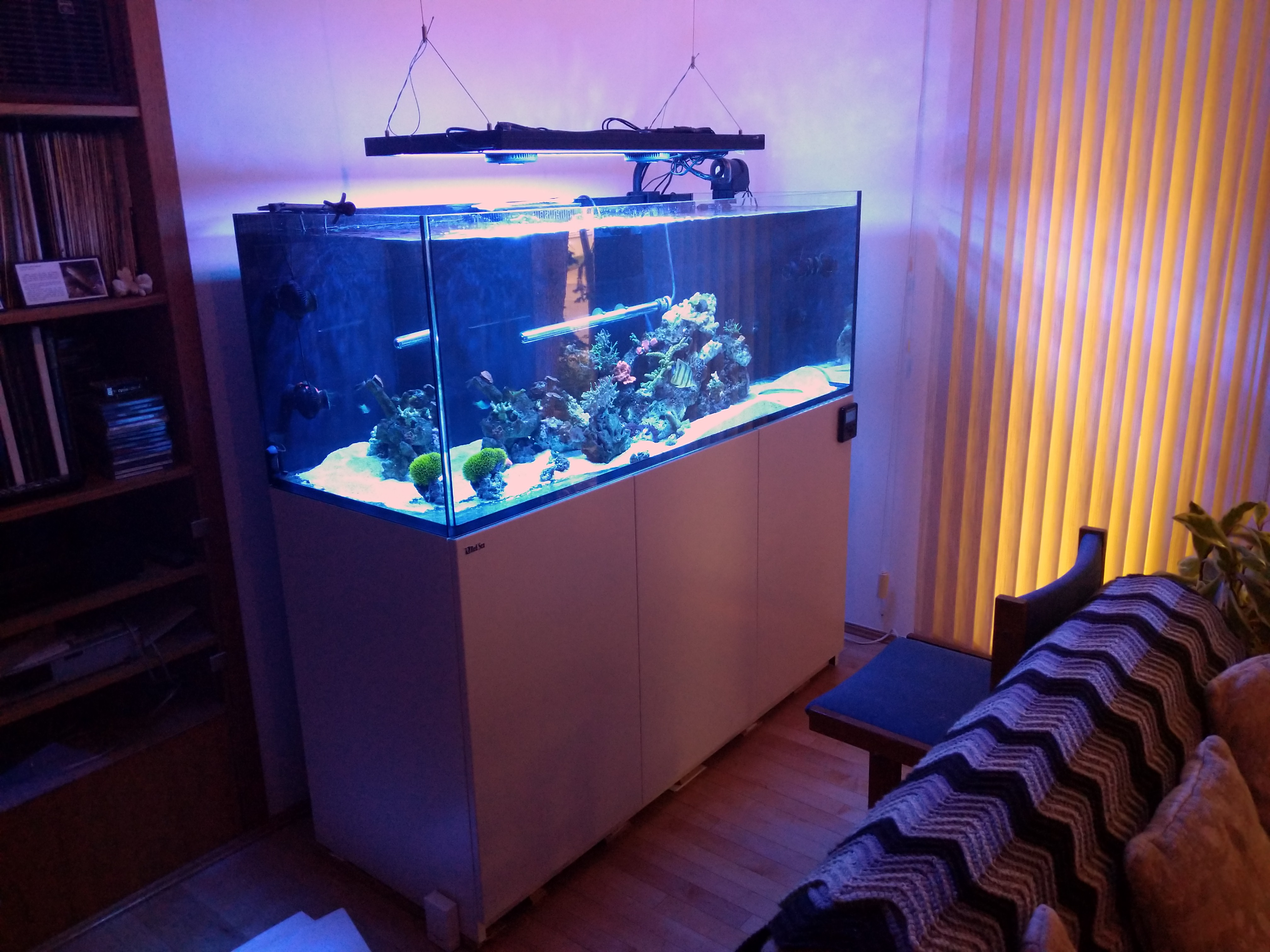 138 gallon saltwater aquarium on white stand